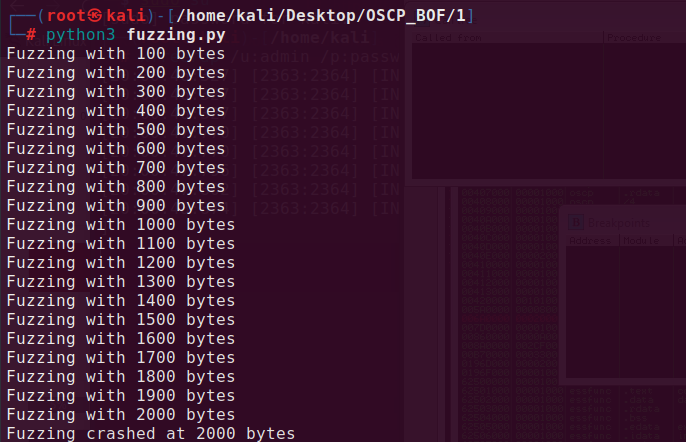 Conducting Buffer Overflow Attack | CTFs